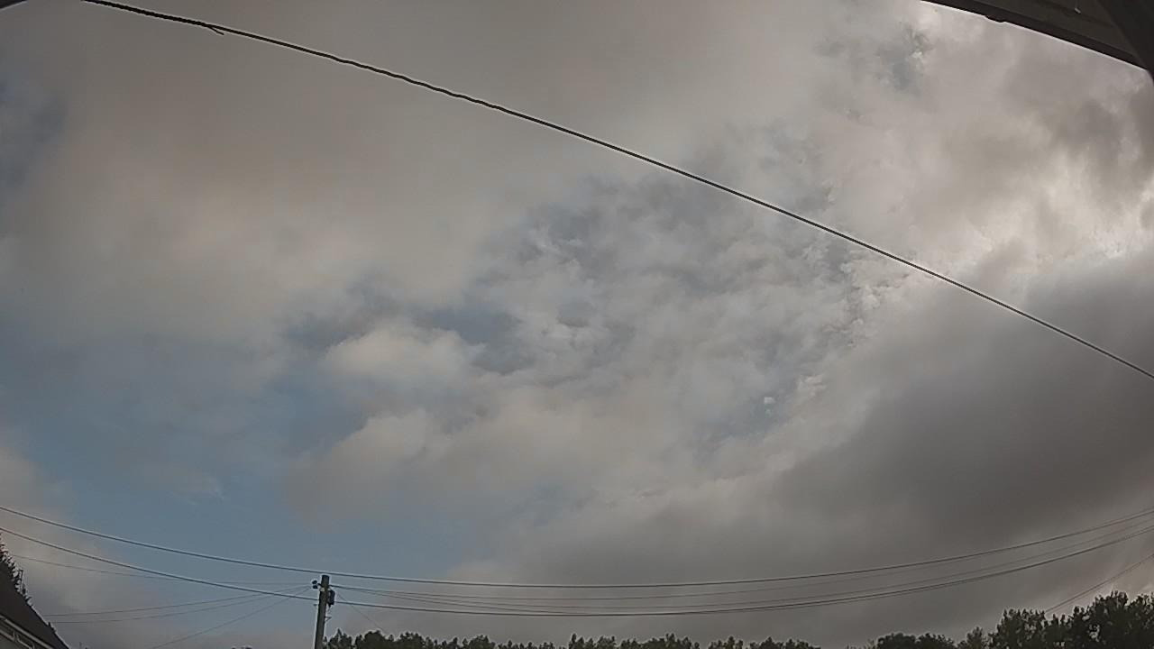 20260728_083949_cam2.jpg
