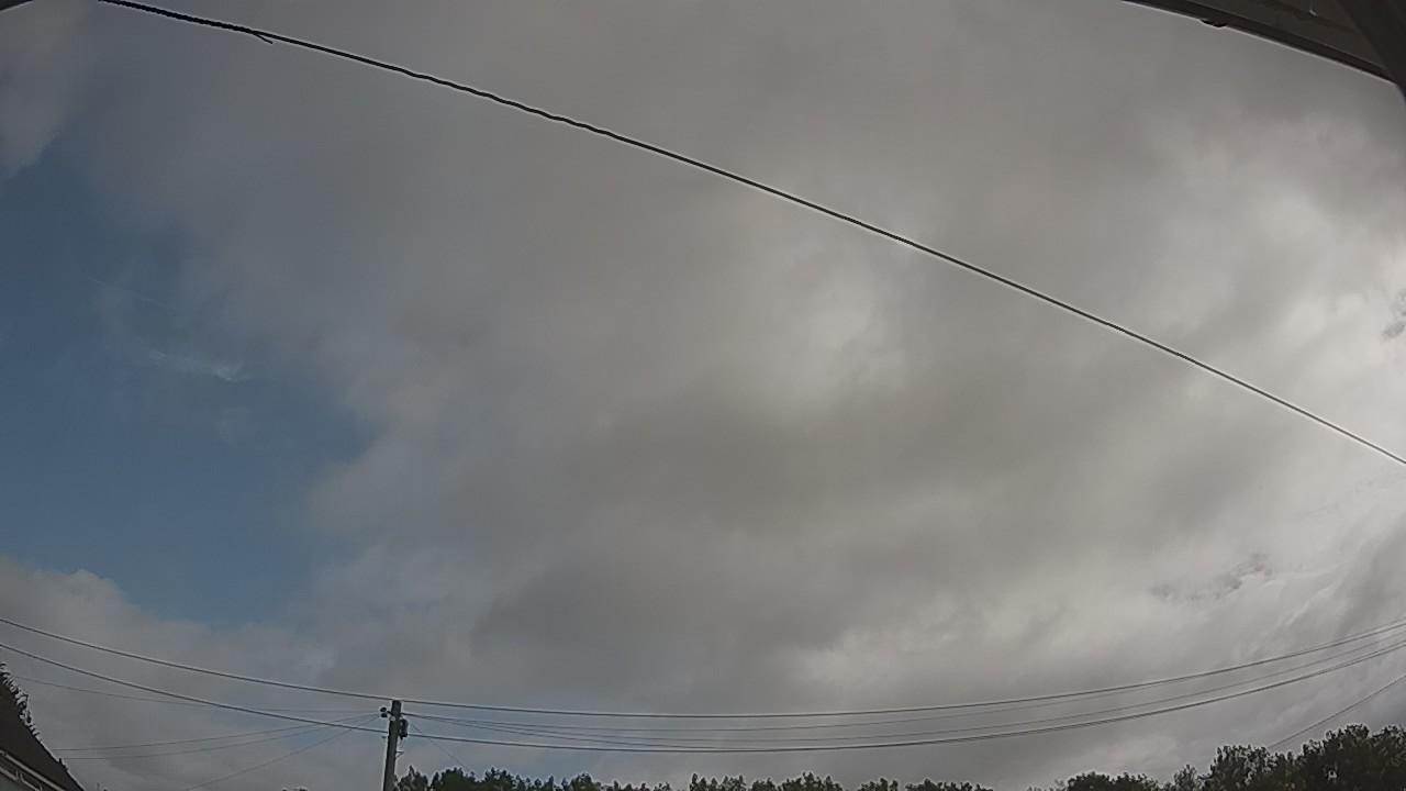 20260728_084349_cam2.jpg