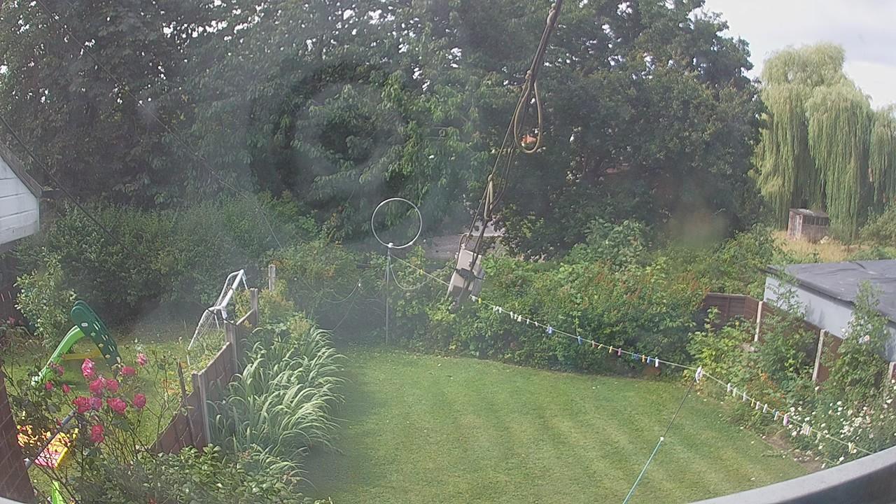 20260728_094747_cam1.jpg