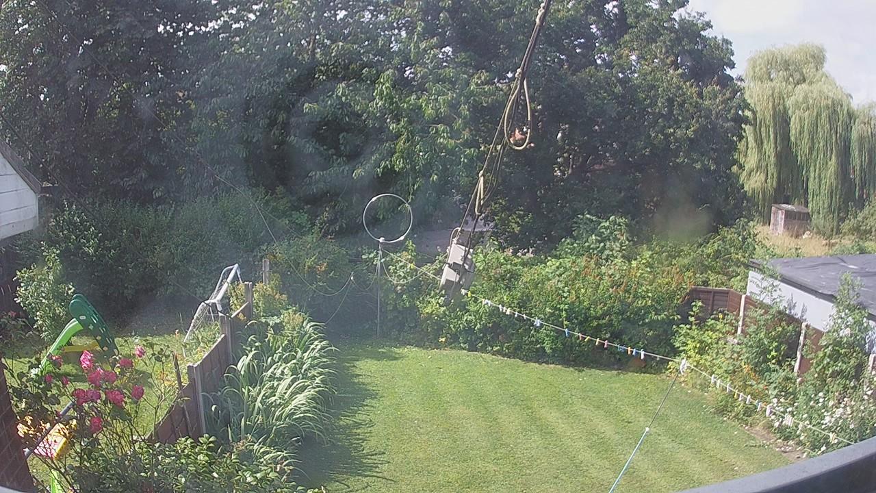 20260728_095148_cam1.jpg