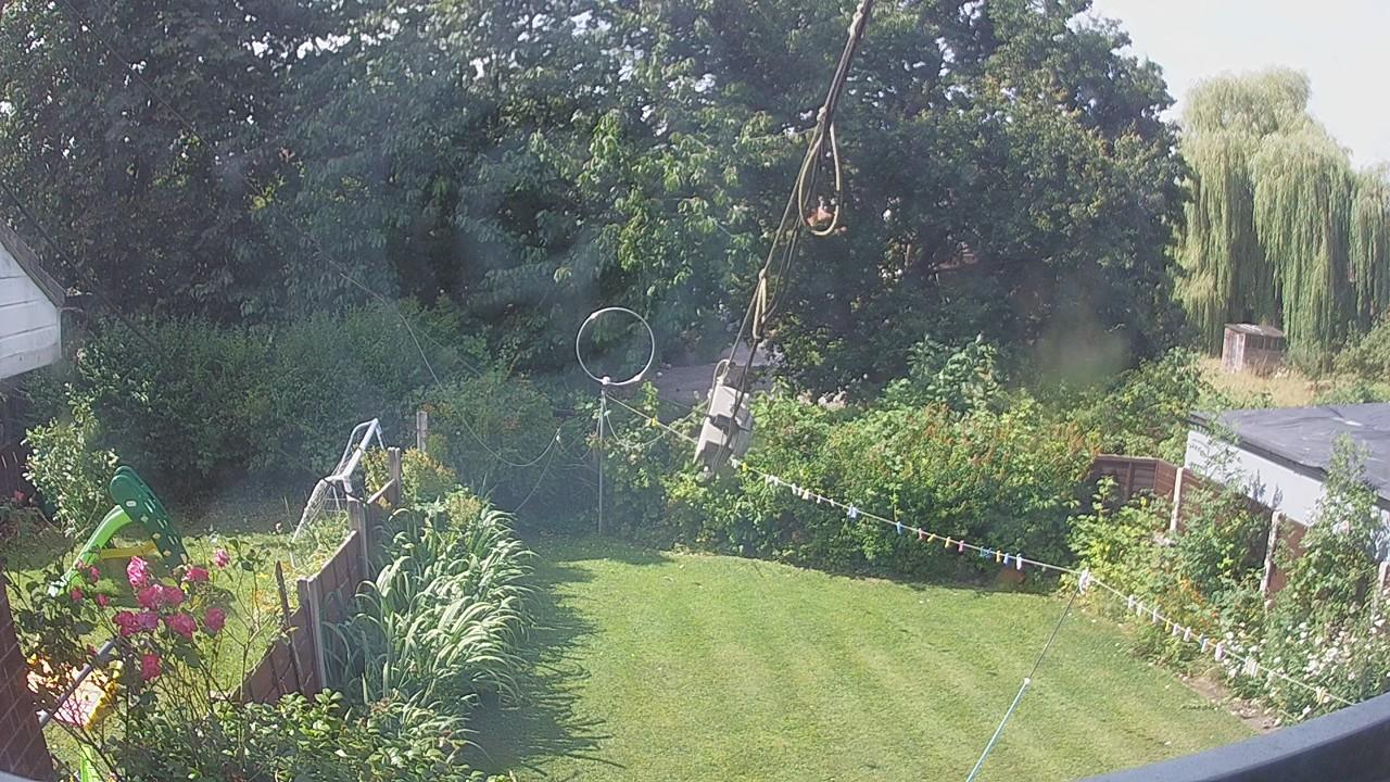 20260728_100331_cam1.jpg
