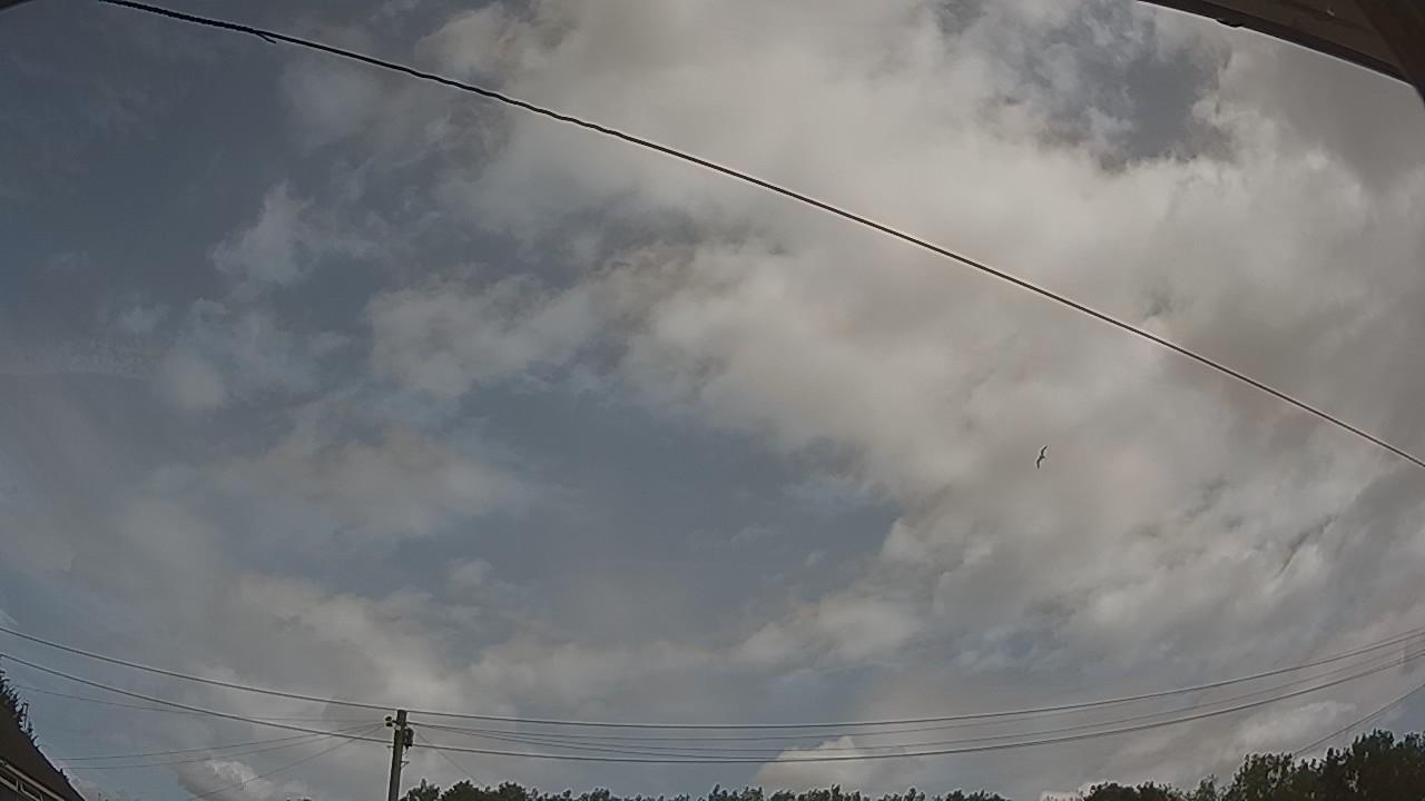 20260728_104639_cam2.jpg