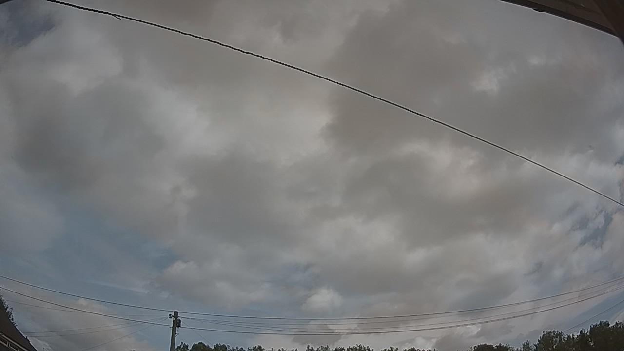 20260728_111012_cam2.jpg