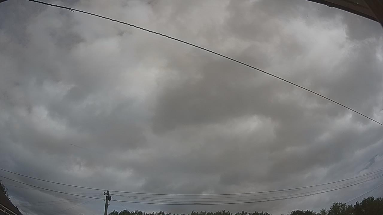 20260728_111754_cam2.jpg