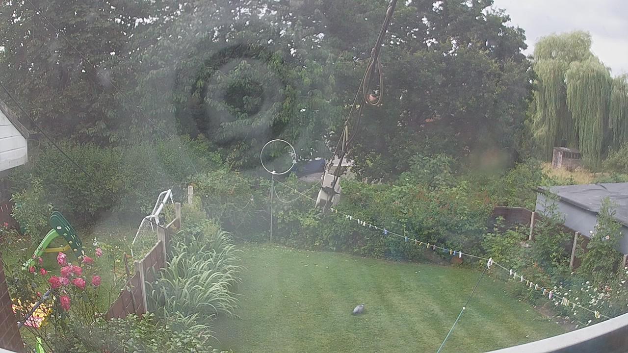 20260728_122957_cam1.jpg