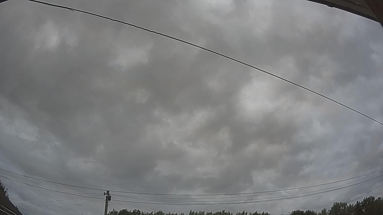 20260728_124959_cam2.jpg