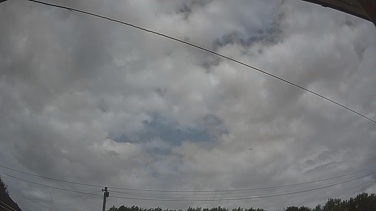 20260728_125759_cam2.jpg