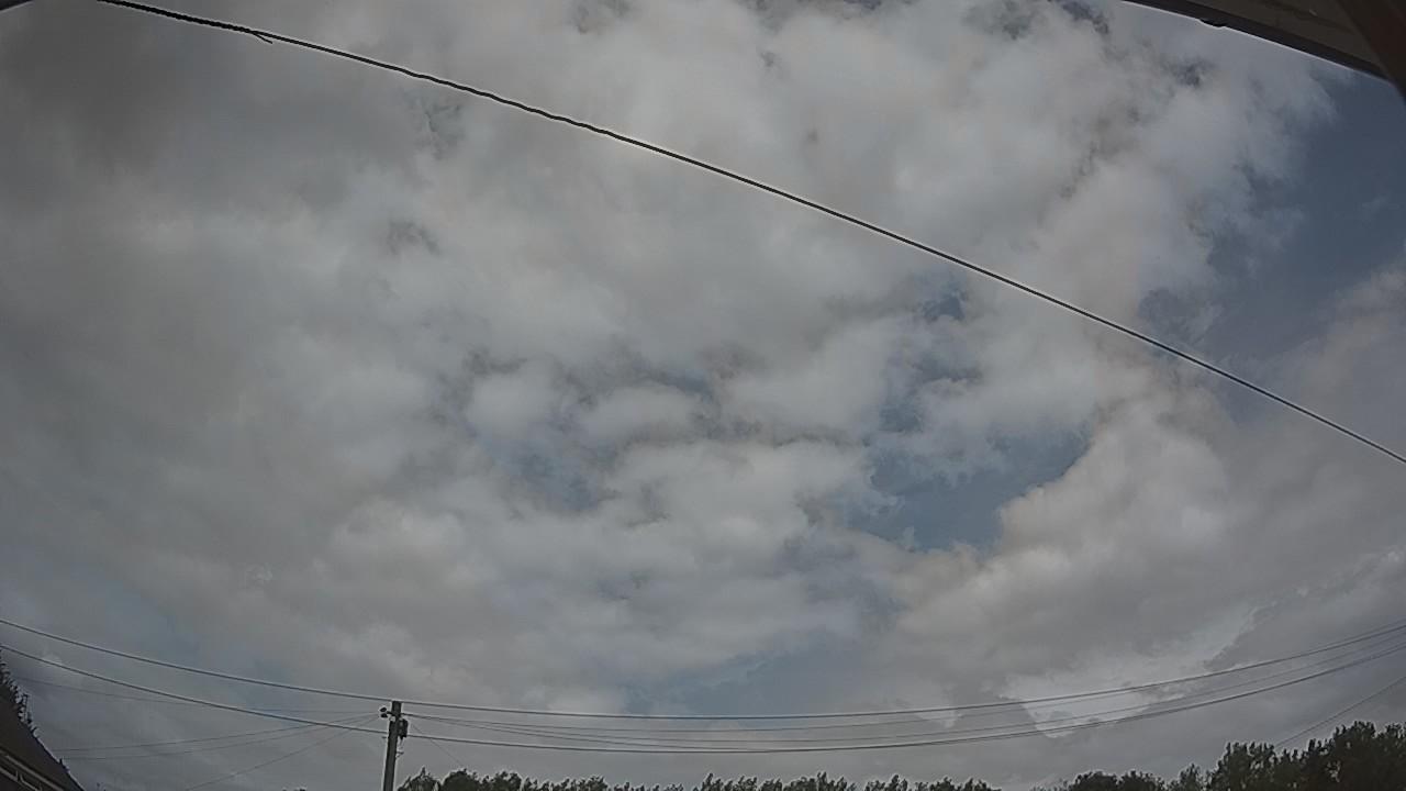 20260728_130217_cam2.jpg