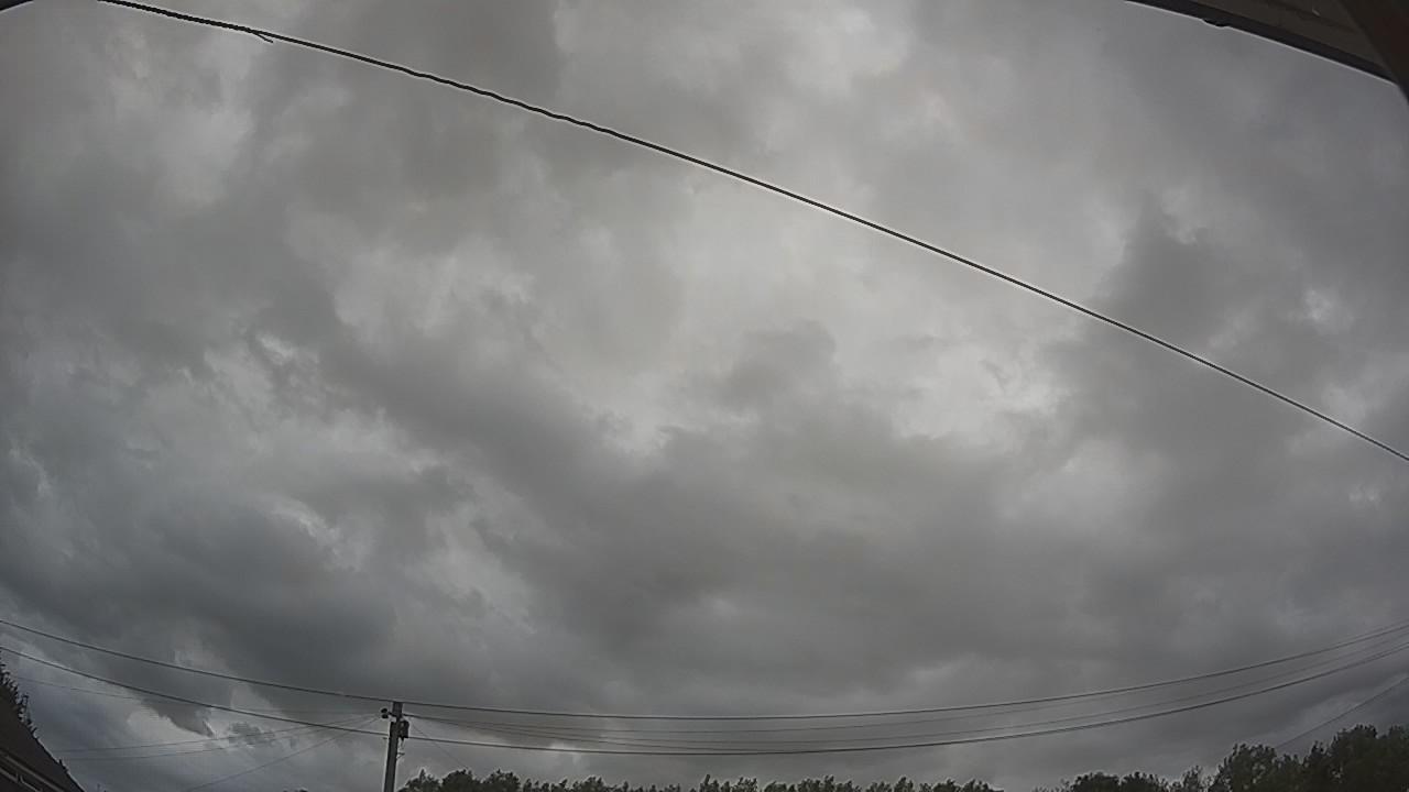 20260728_142742_cam2.jpg