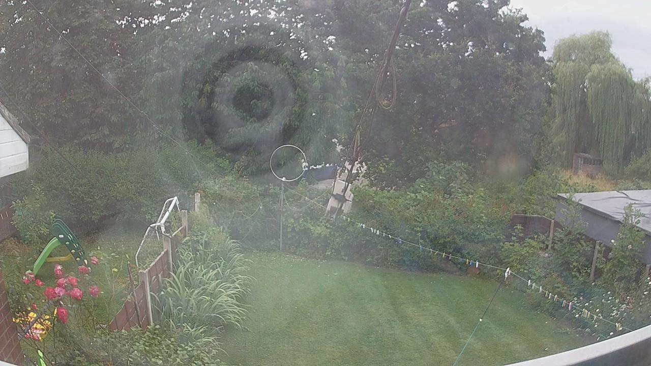 20260728_145026_cam1.jpg