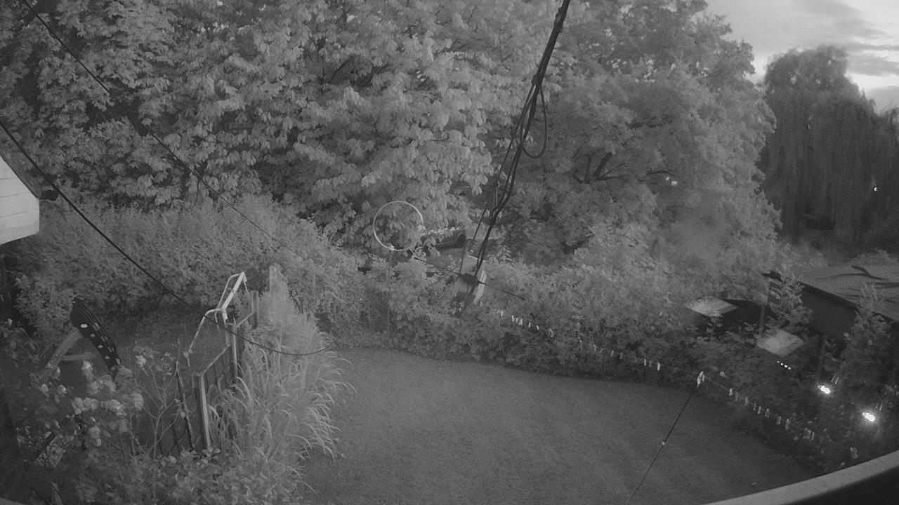 20260728_204735_cam1.jpg