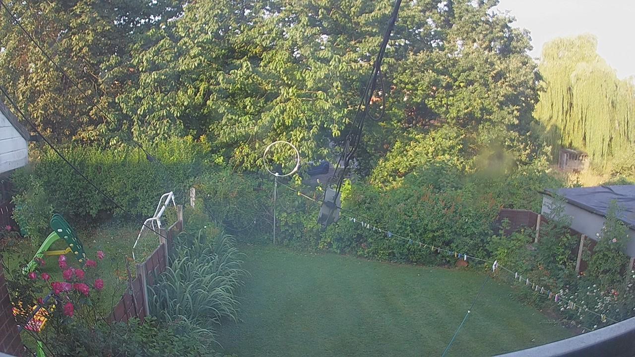20260729_060035_cam1.jpg