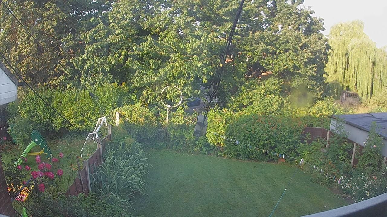 20260729_061901_cam1.jpg