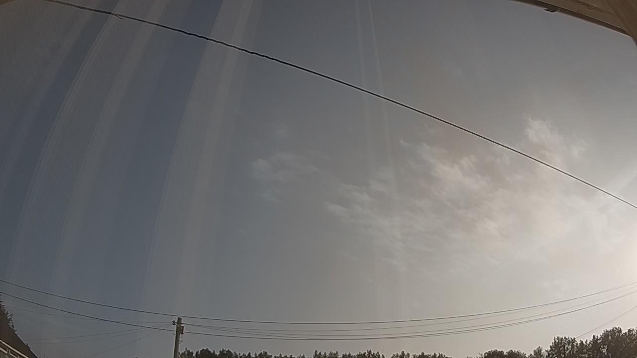 20260729_062338_cam2.jpg