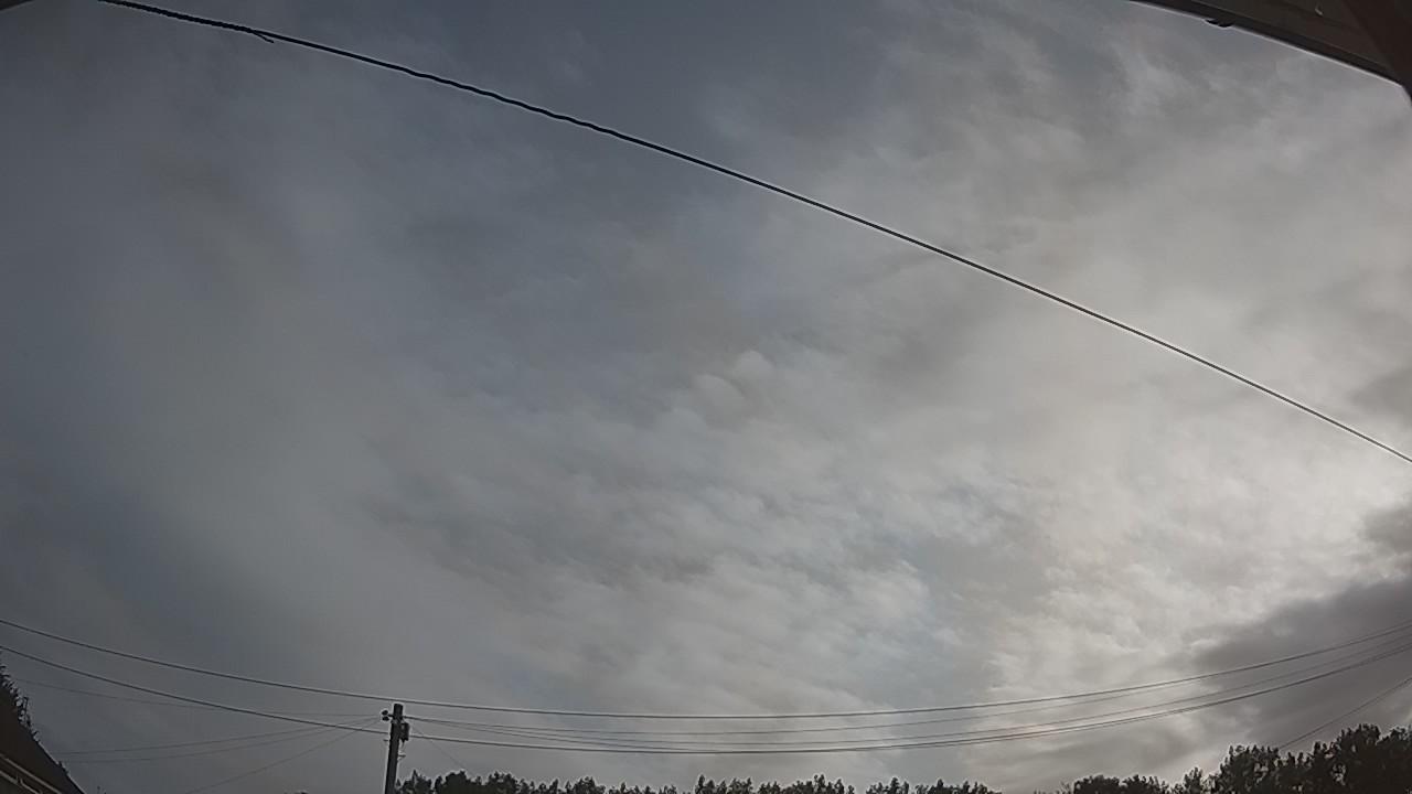 20260729_065030_cam2.jpg