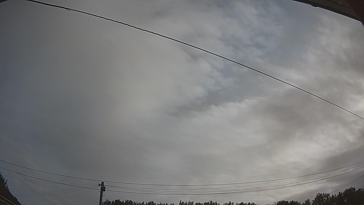 20260729_065456_cam2.jpg