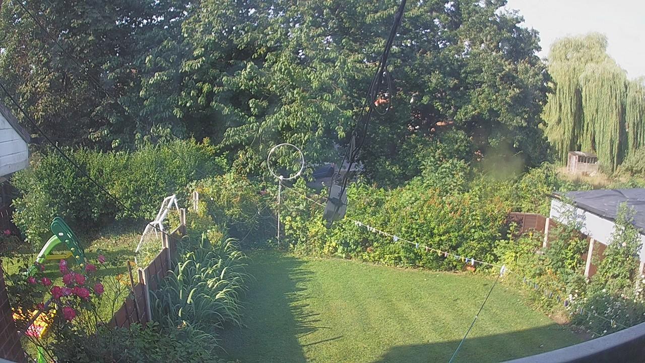 20260729_074635_cam1.jpg