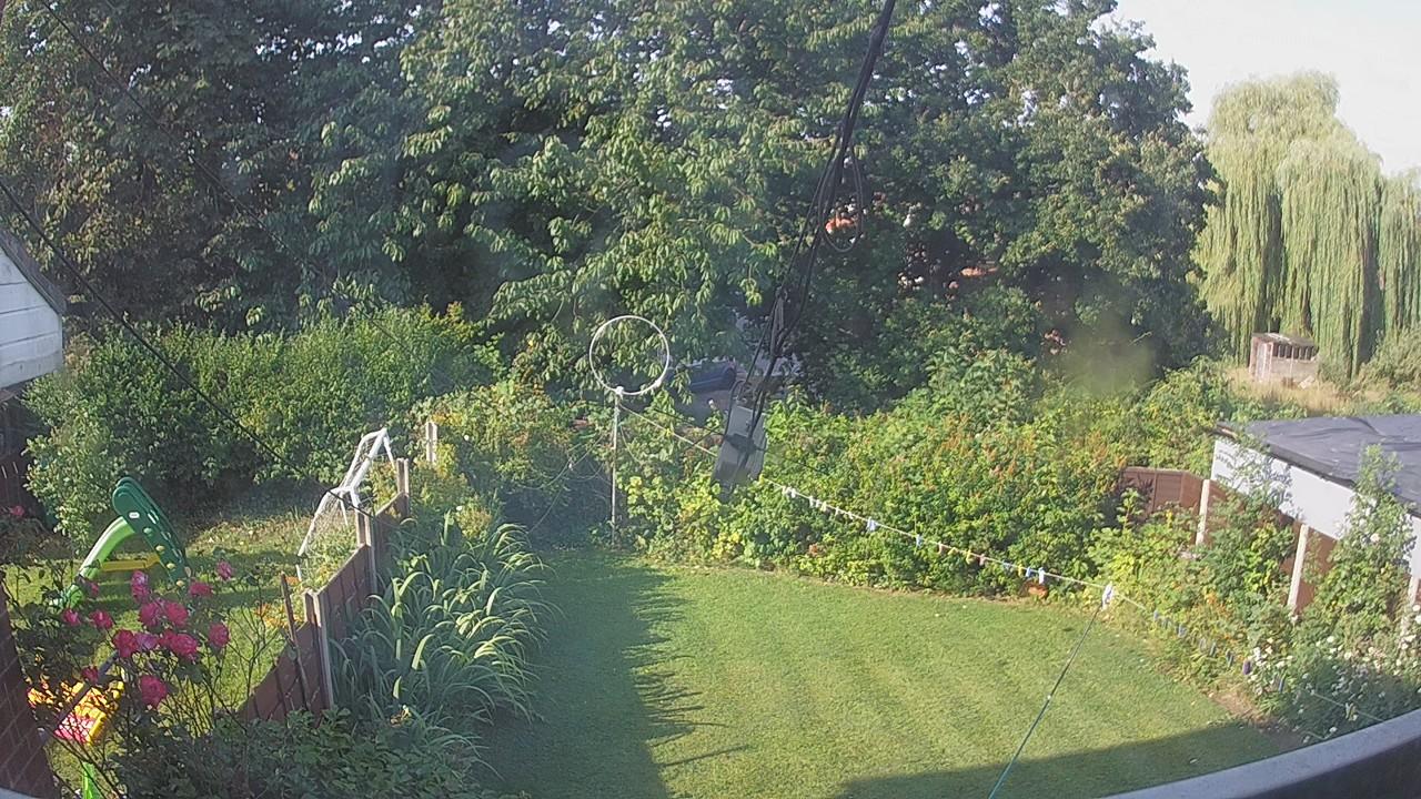 20260729_075053_cam1.jpg