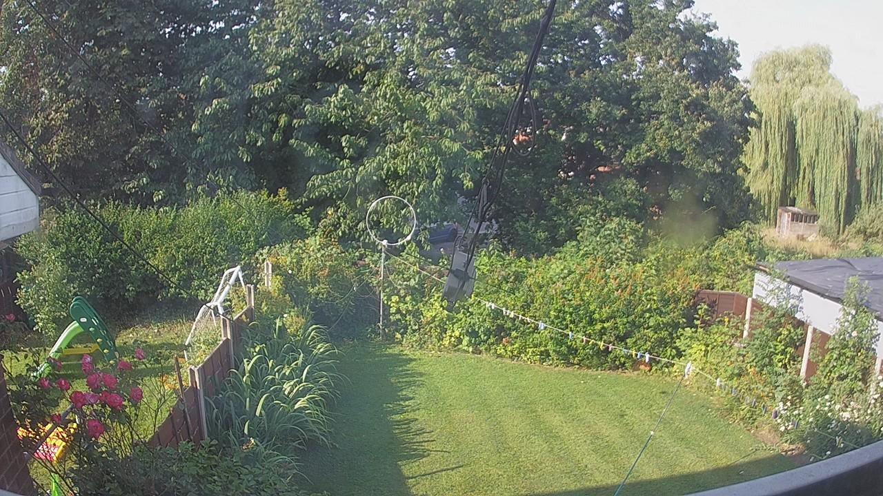 20260729_075512_cam1.jpg