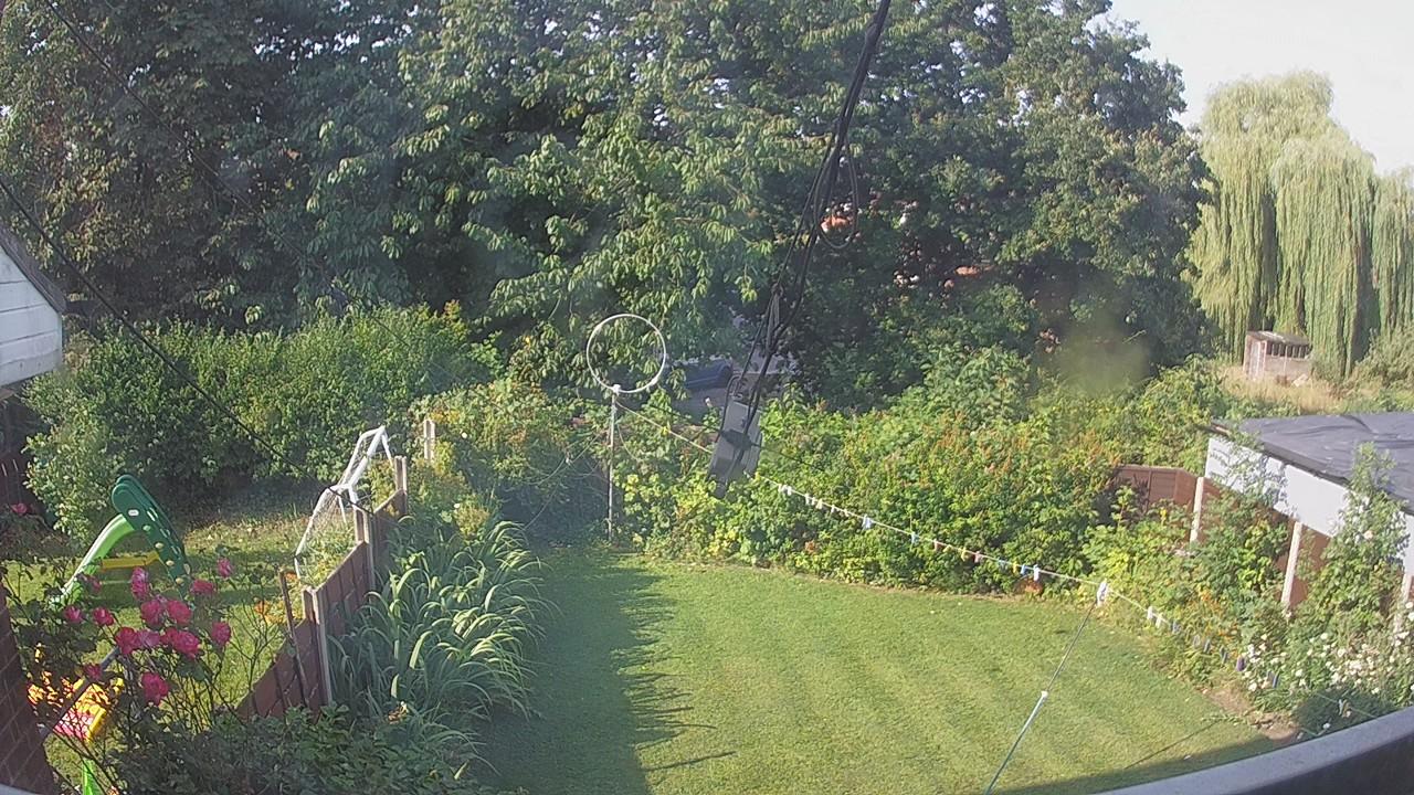 20260729_075940_cam1.jpg