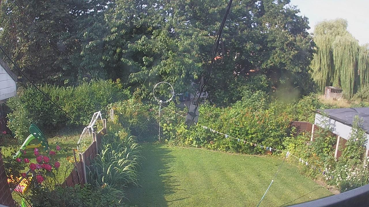 20260729_080408_cam1.jpg