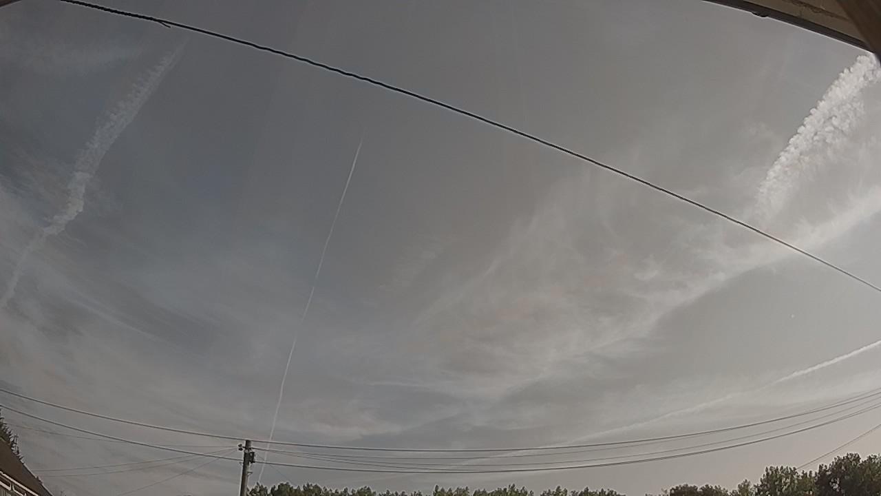 20260729_080409_cam2.jpg