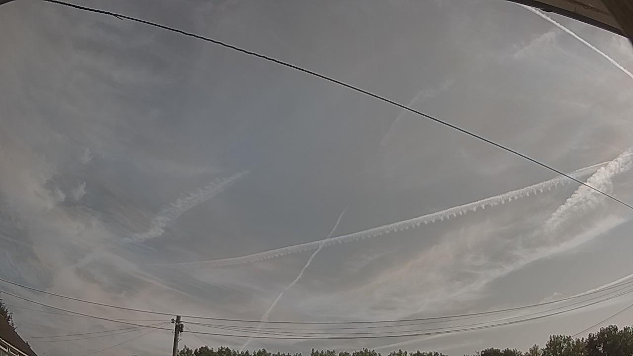 20260729_080836_cam2.jpg