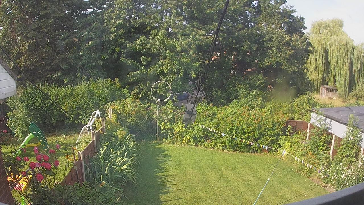 20260729_081302_cam1.jpg