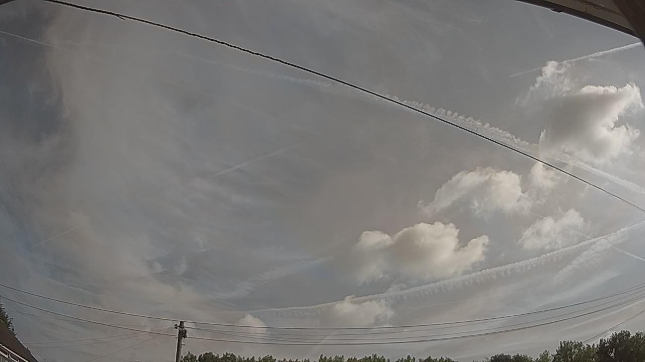 20260729_081303_cam2.jpg