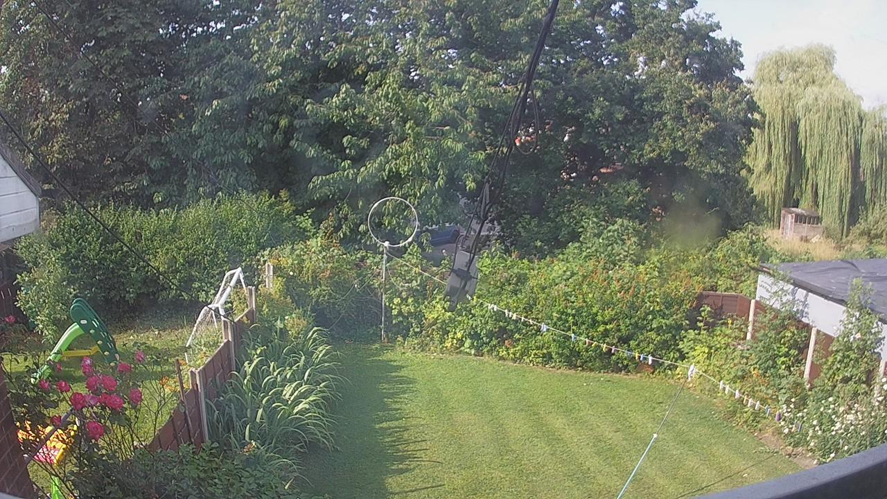 20260729_081733_cam1.jpg