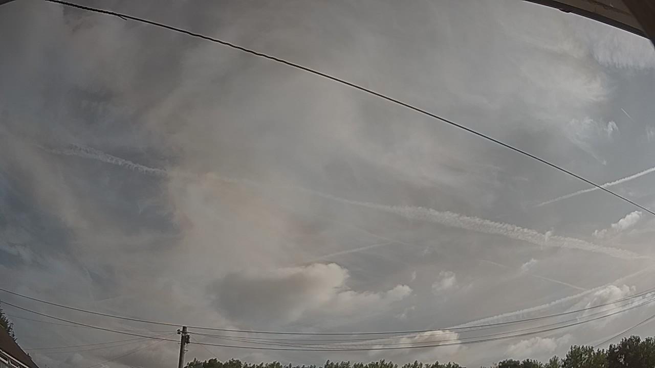 20260729_081734_cam2.jpg