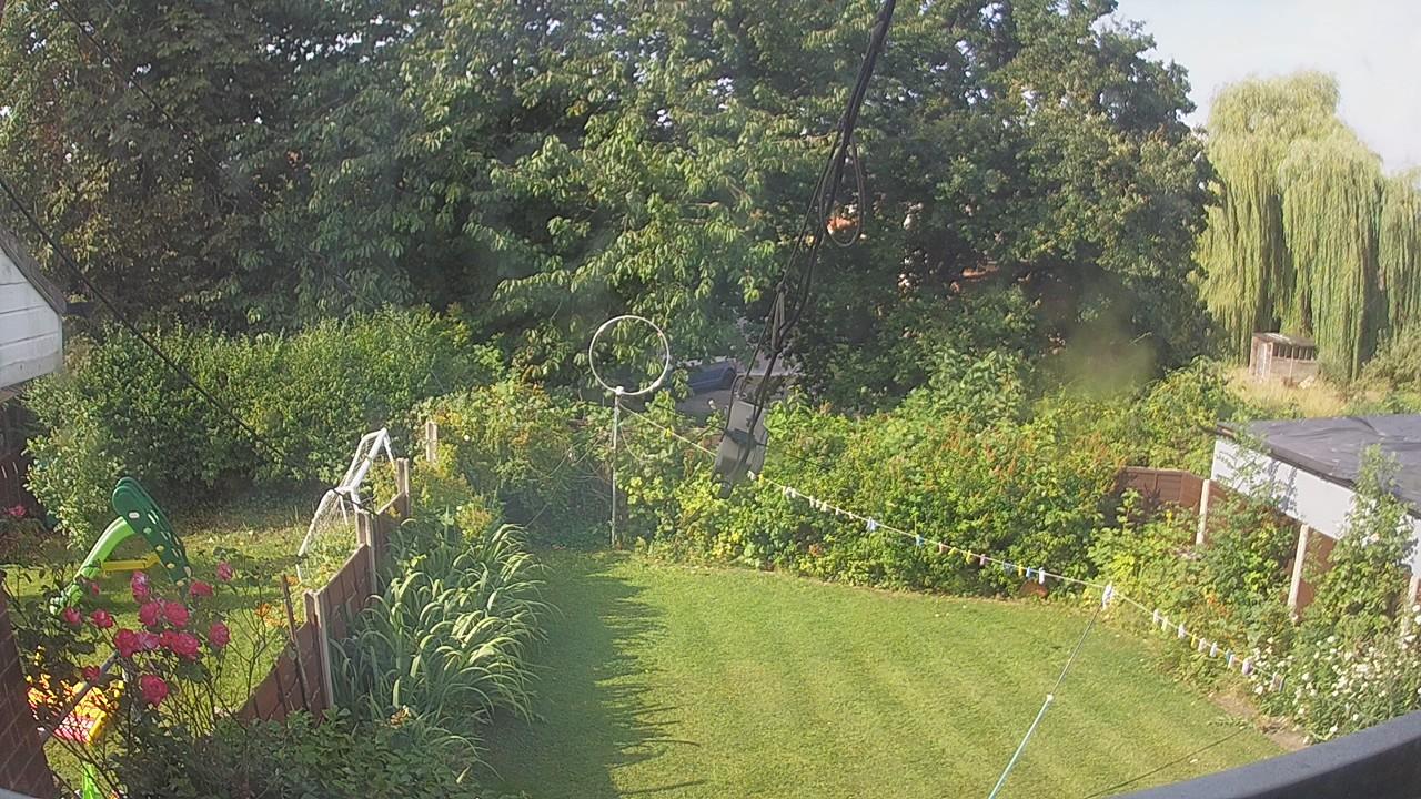20260729_082200_cam1.jpg
