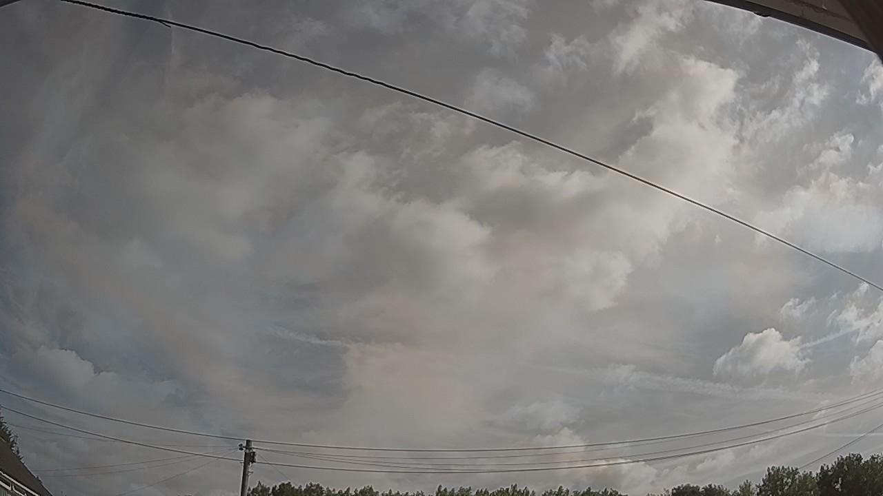 20260729_082201_cam2.jpg