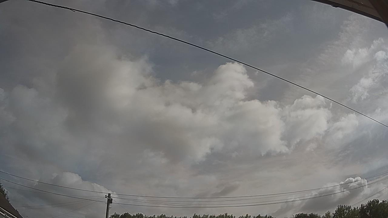 20260729_083029_cam2.jpg