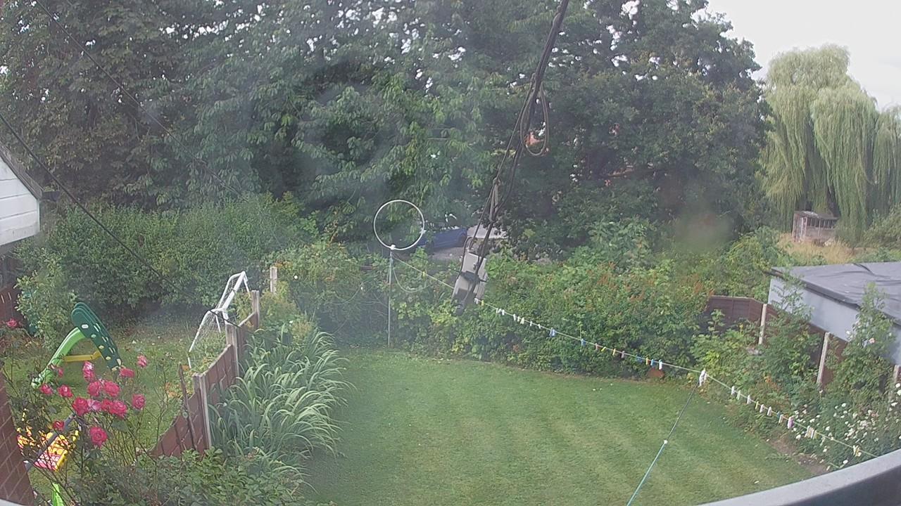 20260729_083829_cam1.jpg