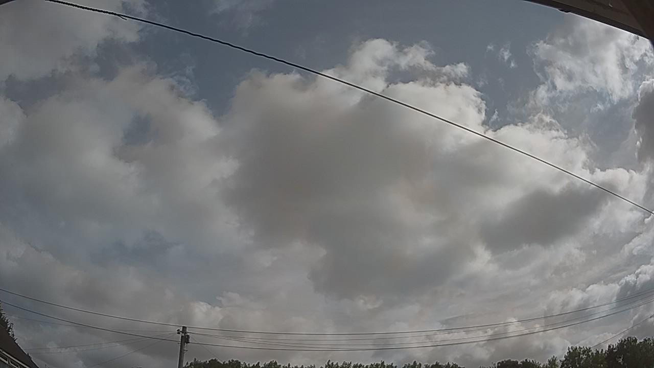 20260729_083830_cam2.jpg