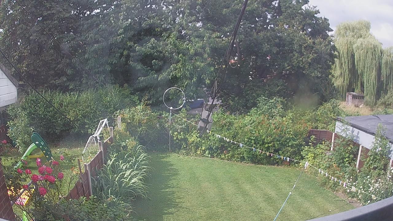 20260729_084229_cam1.jpg
