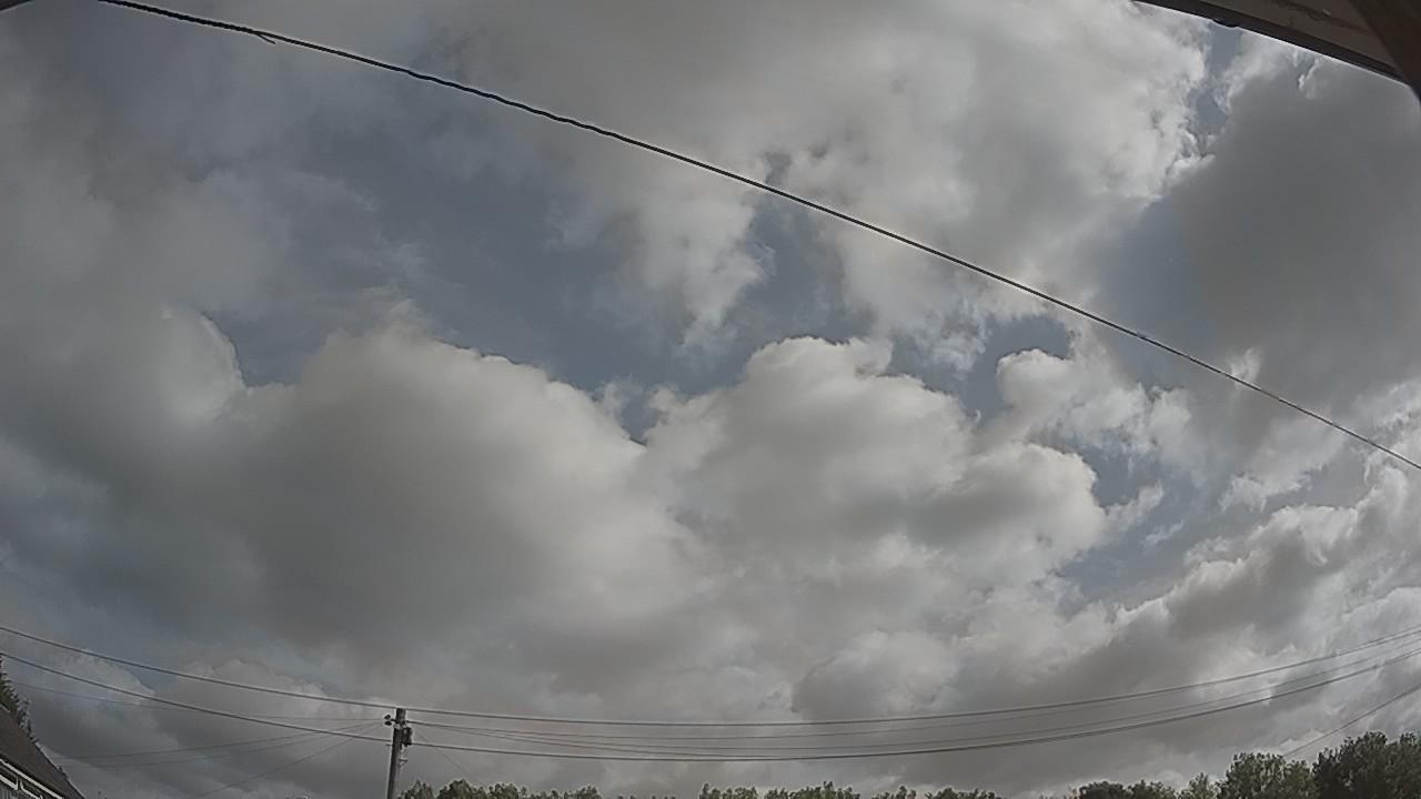 20260729_084230_cam2.jpg