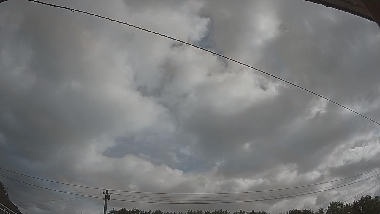 20260729_084630_cam2.jpg