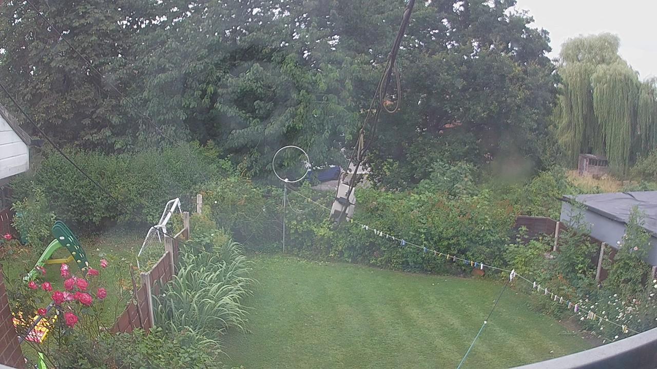 20260729_085029_cam1.jpg