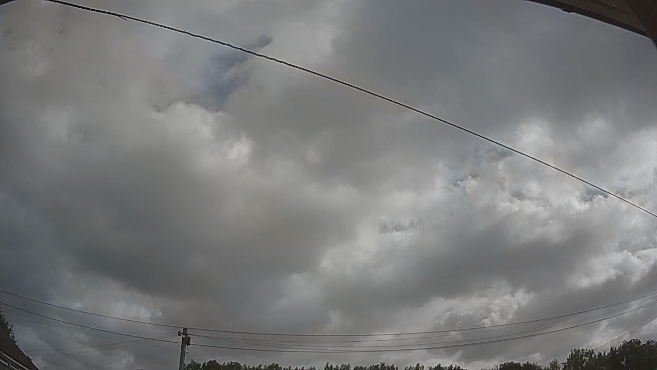 20260729_085030_cam2.jpg