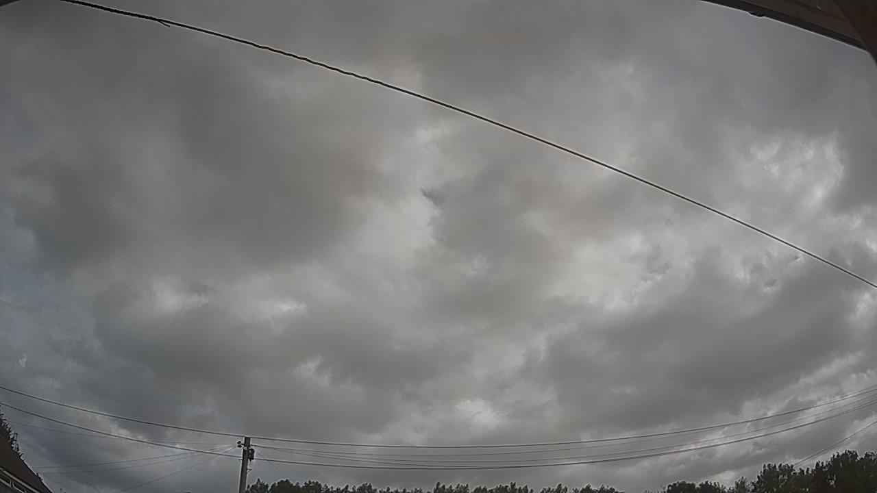 20260729_085431_cam2.jpg