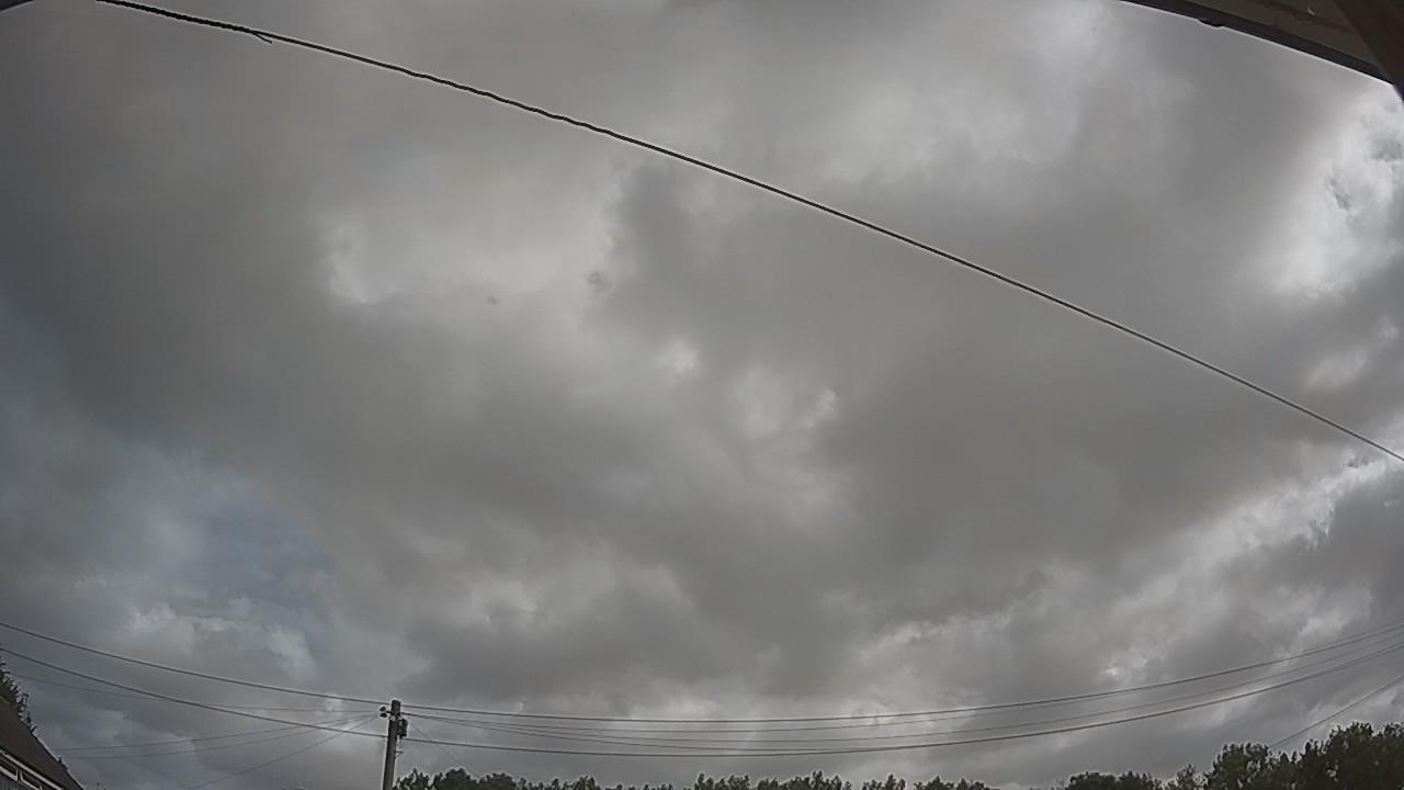 20260729_085813_cam2.jpg