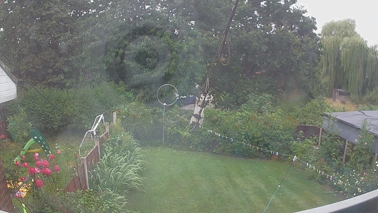 20260729_090154_cam1.jpg