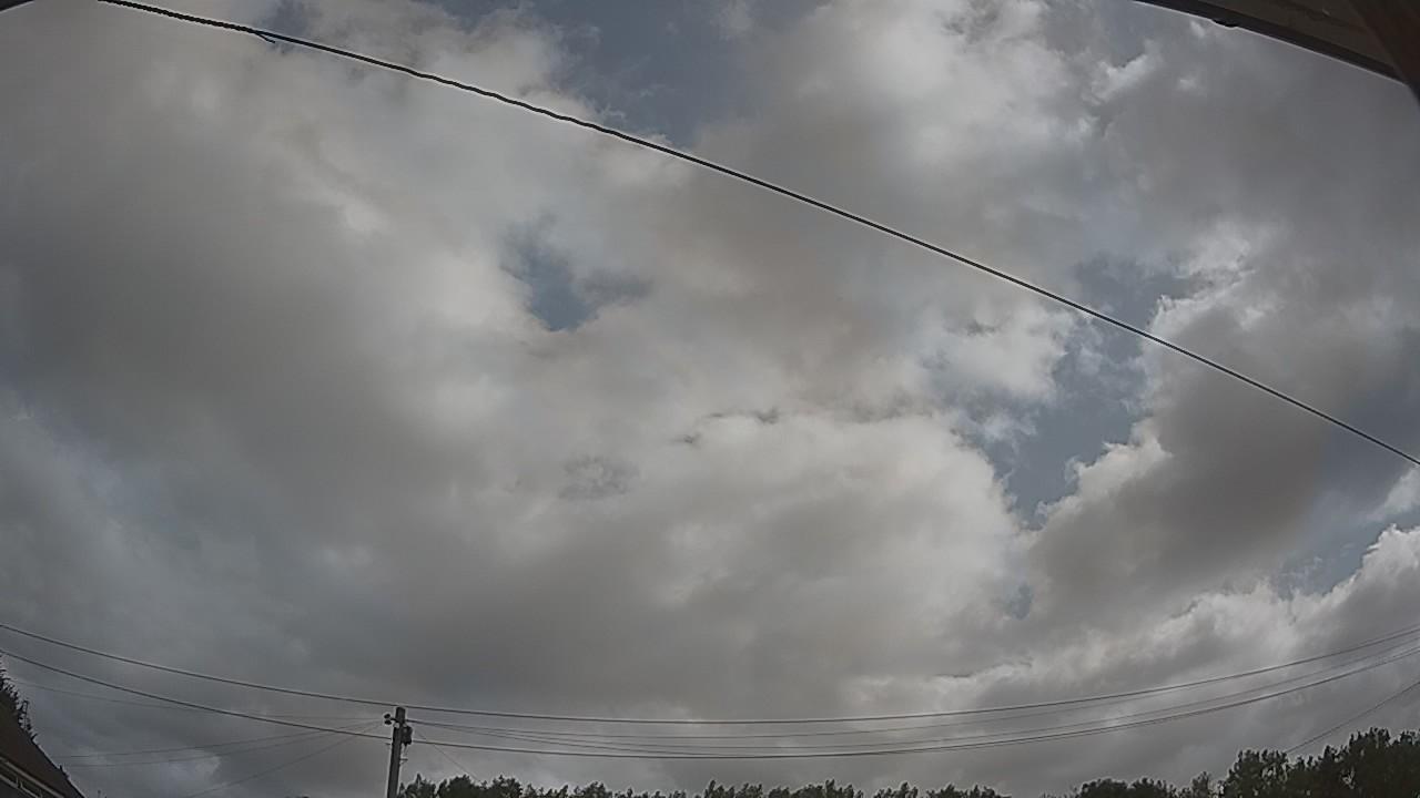20260729_090155_cam2.jpg