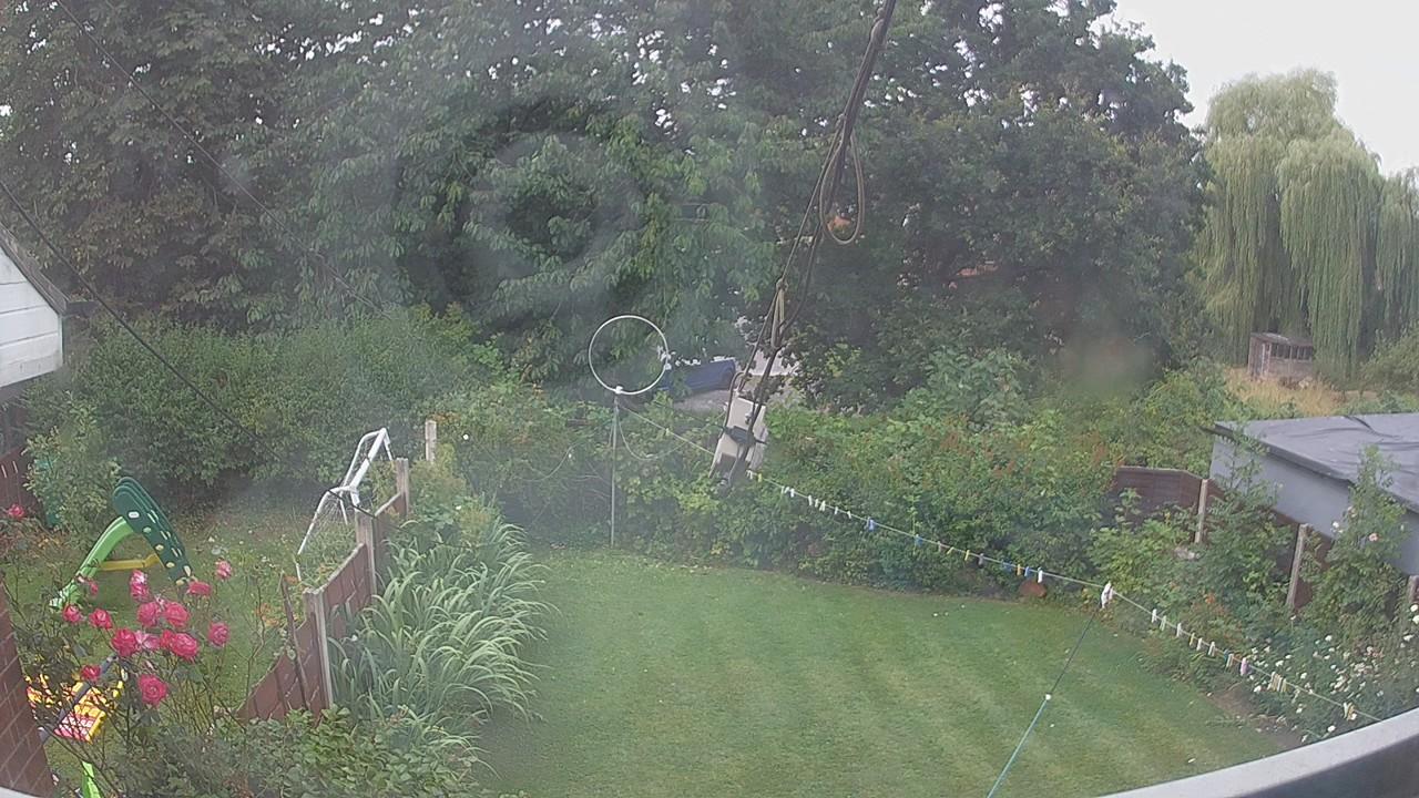 20260729_090536_cam1.jpg