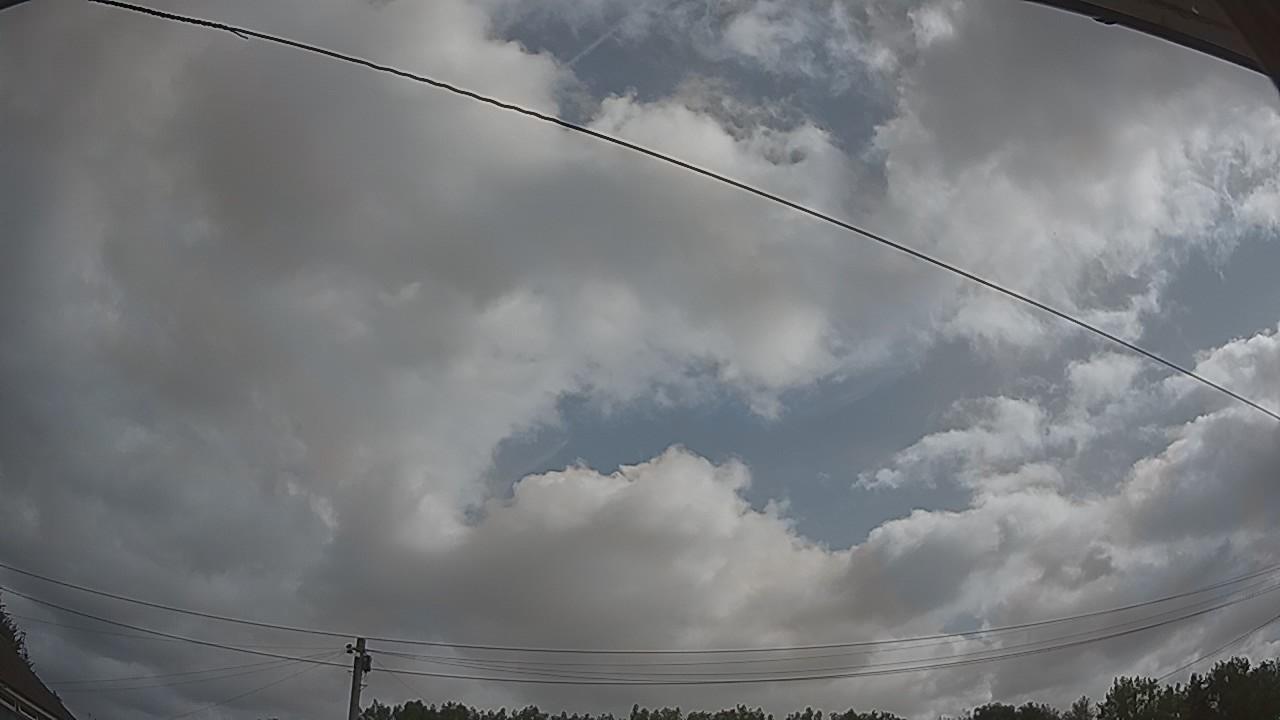 20260729_090537_cam2.jpg