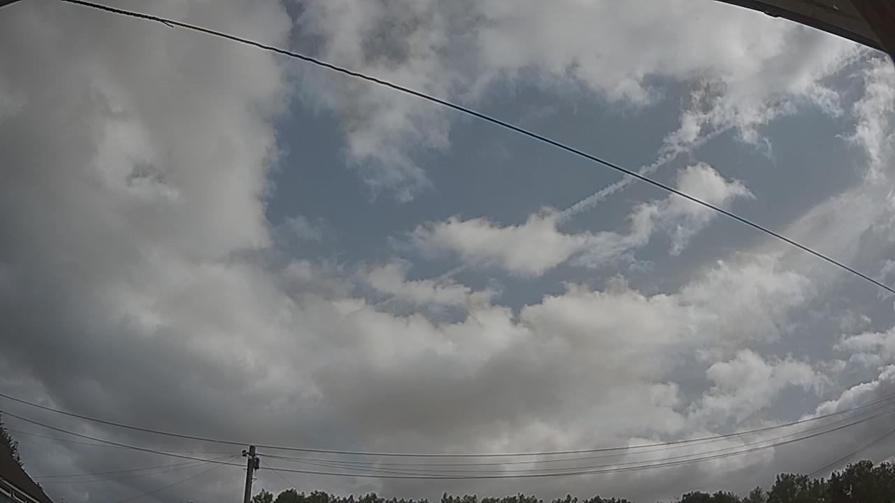 20260729_090919_cam2.jpg
