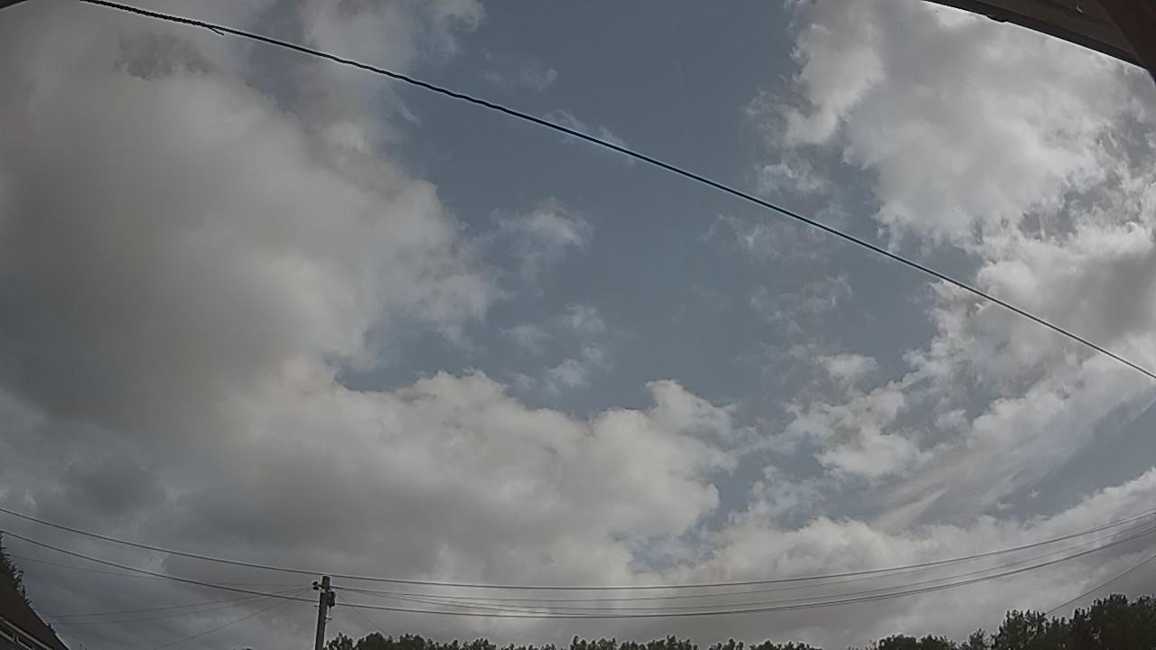 20260729_091301_cam2.jpg