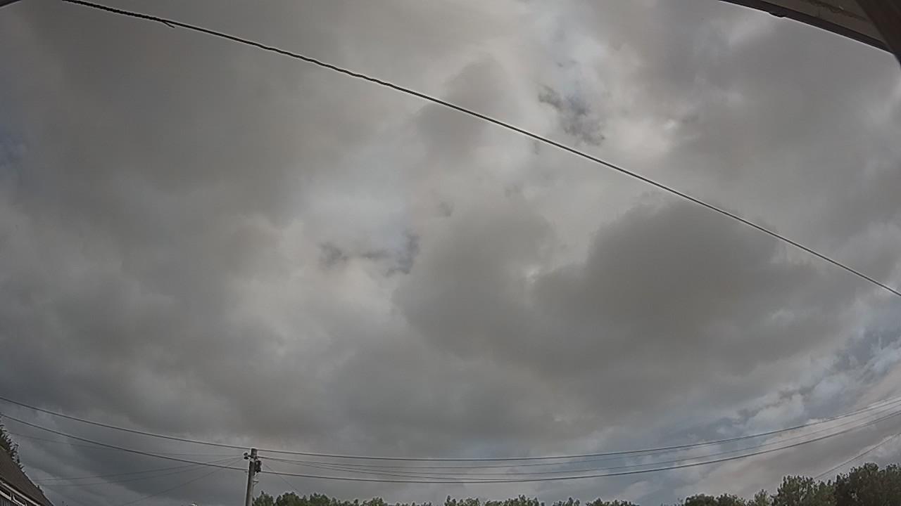 20260729_093148_cam2.jpg